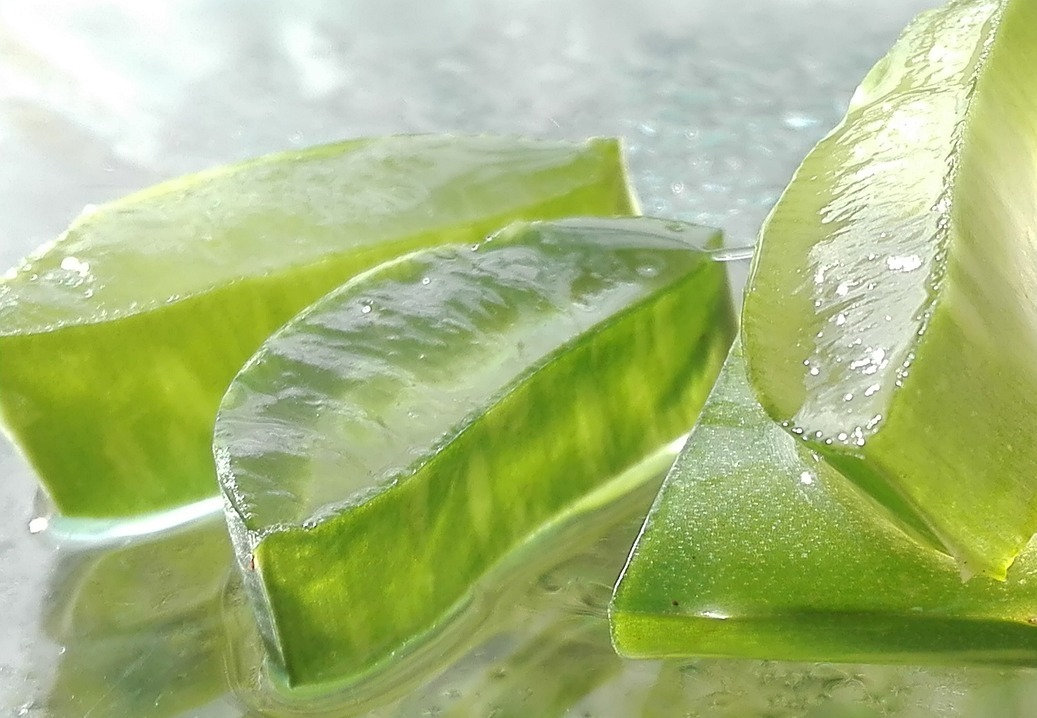 10 Amazing Aloe Vera Benefits For Skin