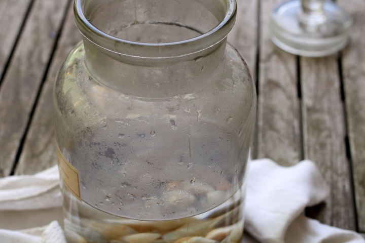Vollmondwasser