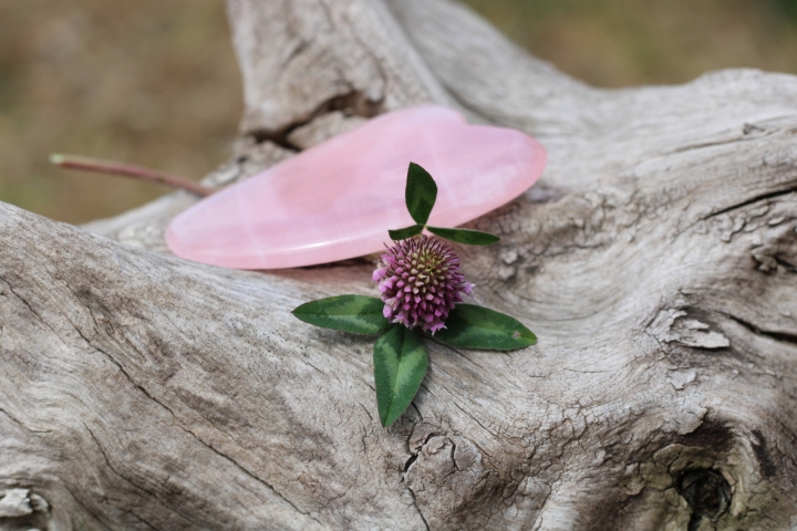 Gua Sha Herz Massagestein aus Rosenquarz