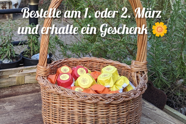 Hol Dir Dein Frühlingsgeschenk
