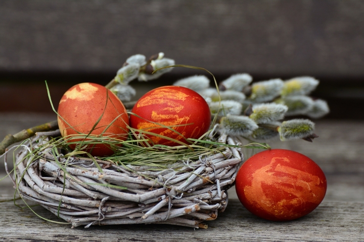 Ostereier im Nest