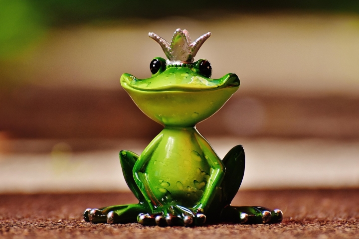 Der Froschkönig als Figur