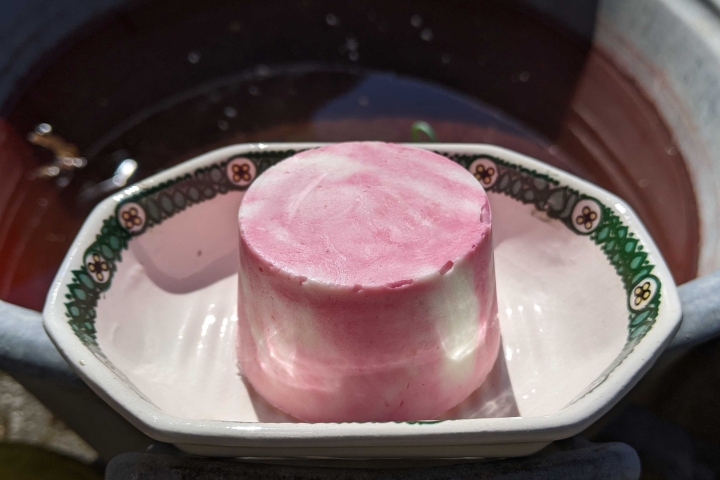 DuschBar Vanille-Himbeere