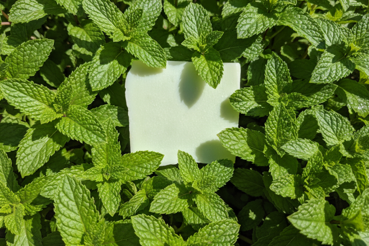 Grüne Minze Seife im Pfefferminblätterbett