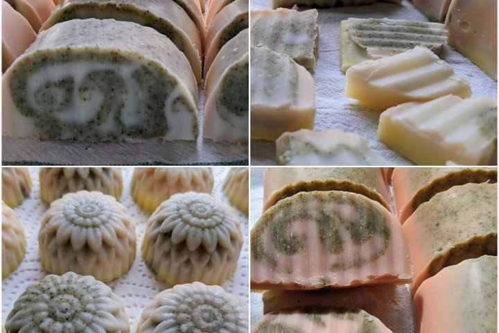 Collage der Reifeentwicklung der Holunderseife