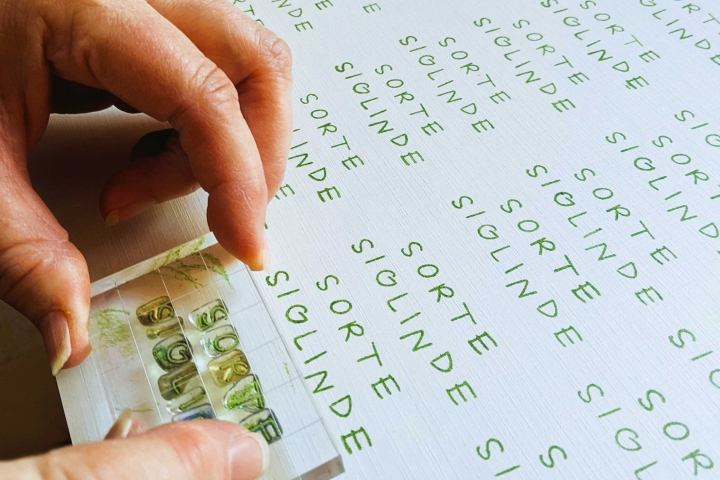 Kartoffelseife Etiketten werden bestempelt