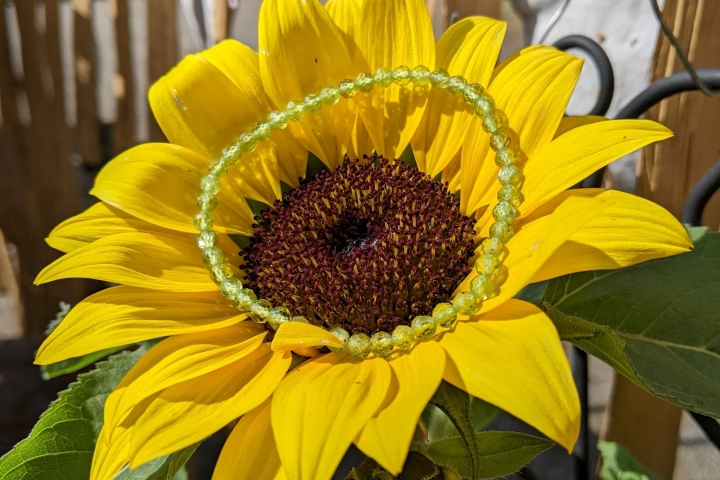 Peridot Armband auf einer Sonnenblume