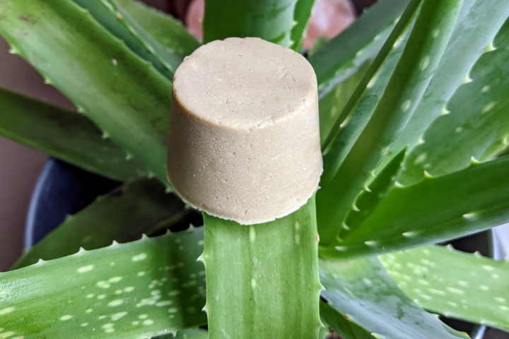 ShampooBar Aloe Olive in grün