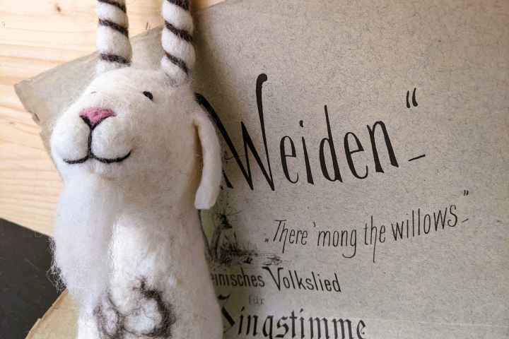 Ziegenbock Zystus